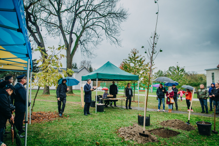 Oslavy výročí republiky v Plané