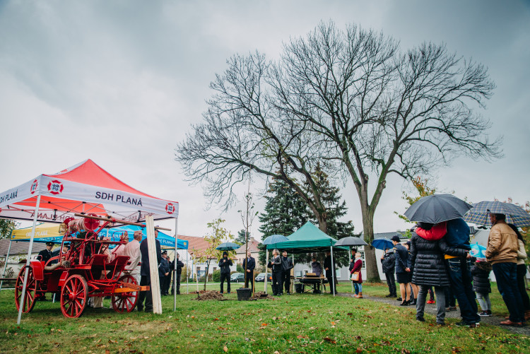 Oslavy výročí republiky v Plané