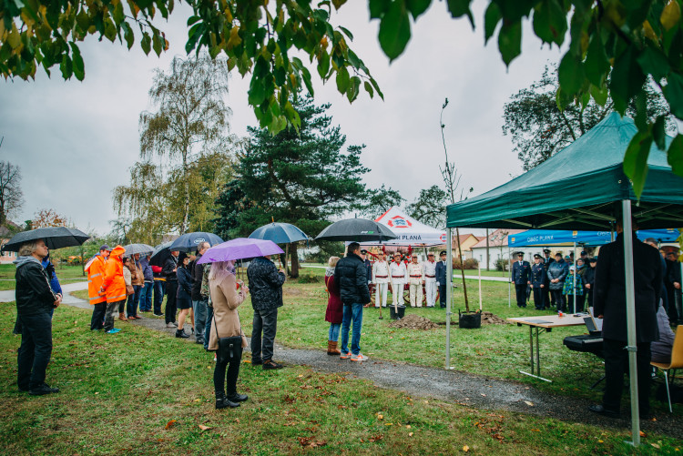 Oslavy výročí republiky v Plané