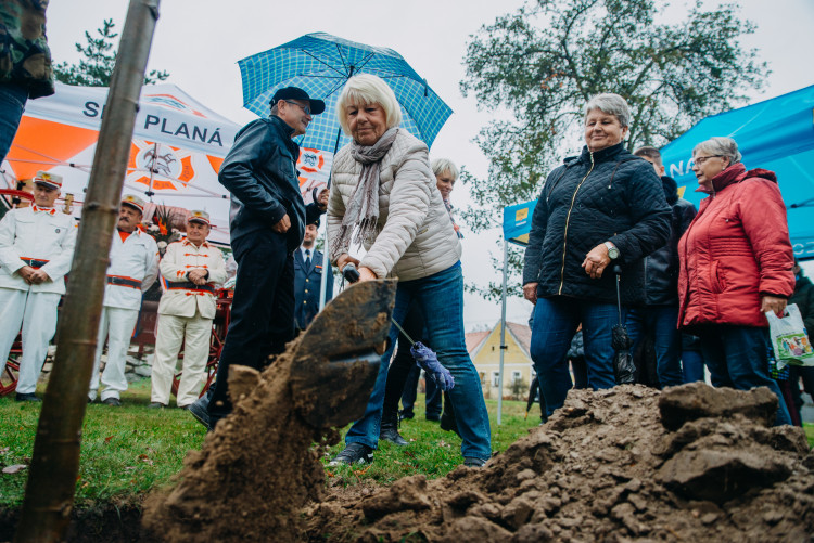 Oslavy výročí republiky v Plané