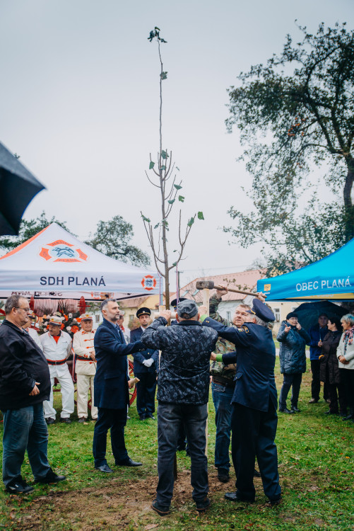Oslavy výročí republiky v Plané