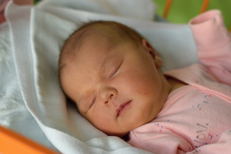 Natálie Komínková