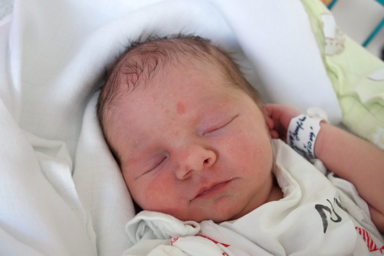 Josefína Shánělová