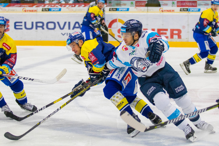 Zápas Bílých Tygrů Liberec proti PSG Berani Zlín