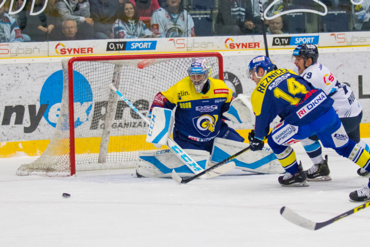 Zápas Bílých Tygrů Liberec proti PSG Berani Zlín