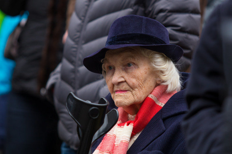 Sedmnáctý listopad v Liberci