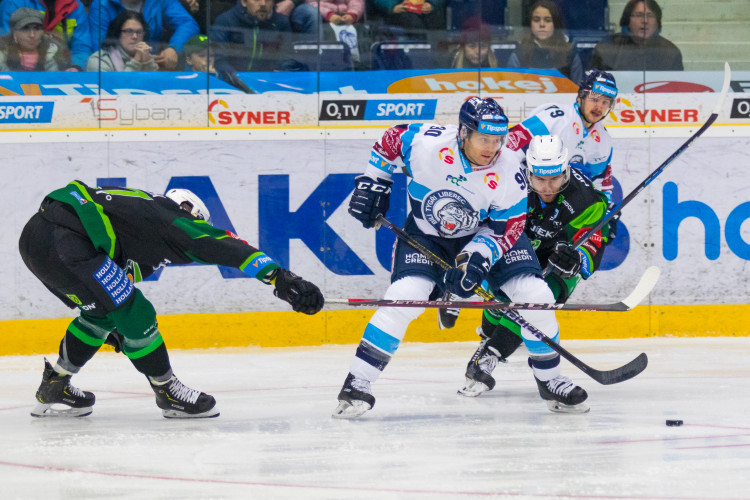 Bílí Tygři Liberec x HC Energie Karlovy Vary (18.11. 2018)