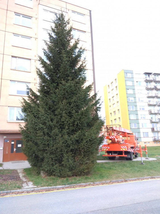 Vánoční stromeček v Jihlavě