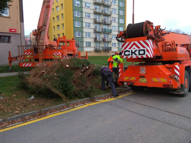 Vánoční stromeček v Jihlavě