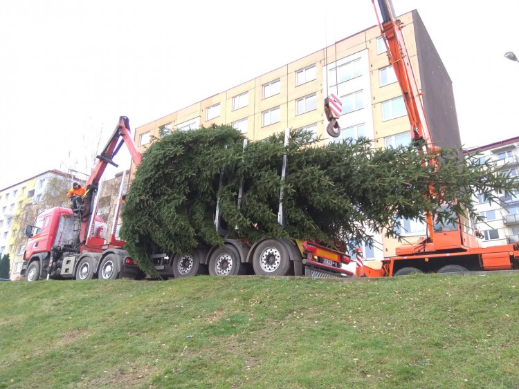 Vánoční stromeček v Jihlavě