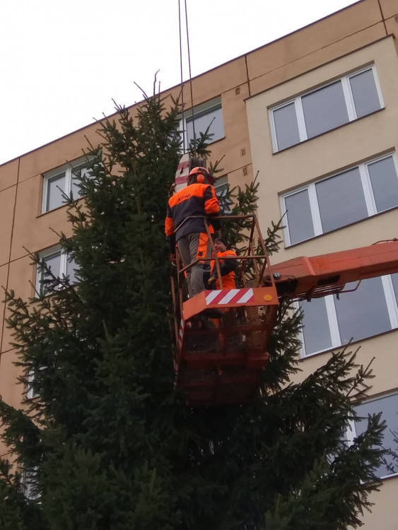 Vánoční stromeček v Jihlavě