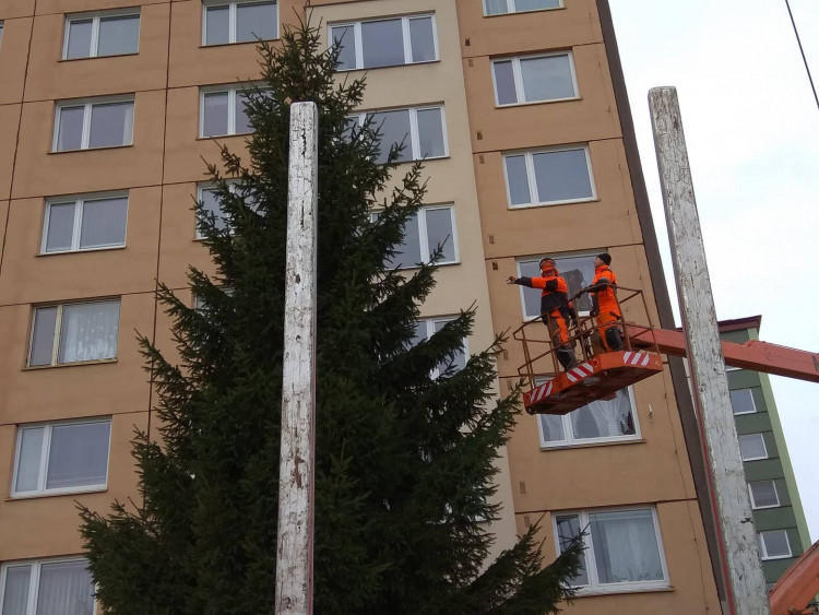 Vánoční stromeček v Jihlavě