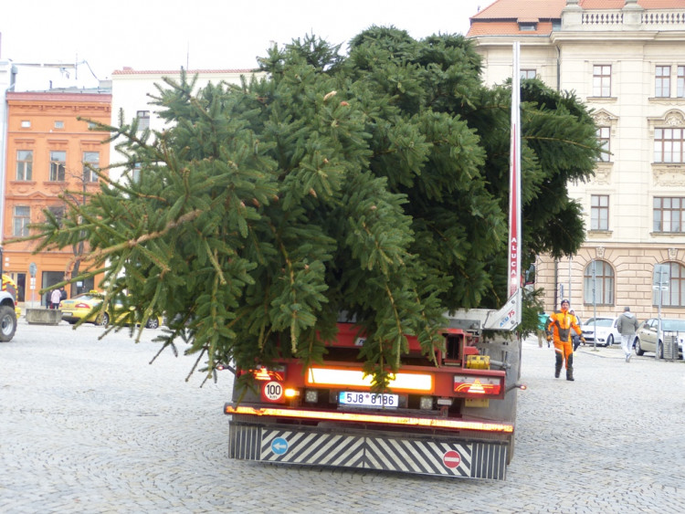 Vánoční stromeček v Jihlavě