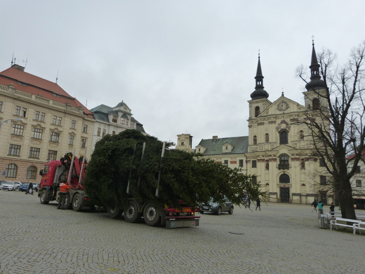 Vánoční stromeček v Jihlavě