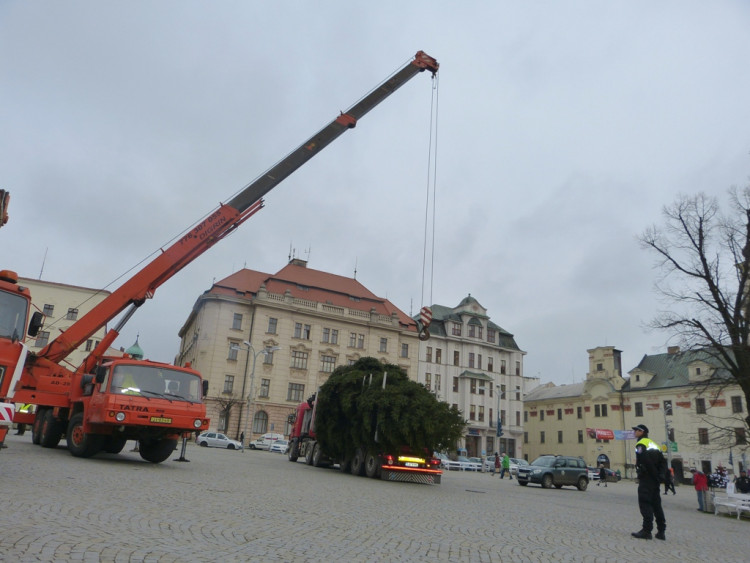 Vánoční stromeček v Jihlavě