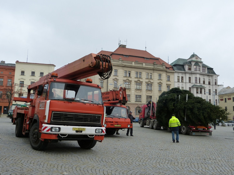 Vánoční stromeček v Jihlavě