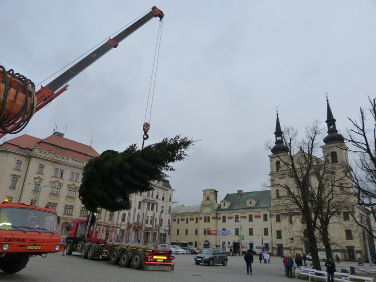 Vánoční stromeček v Jihlavě