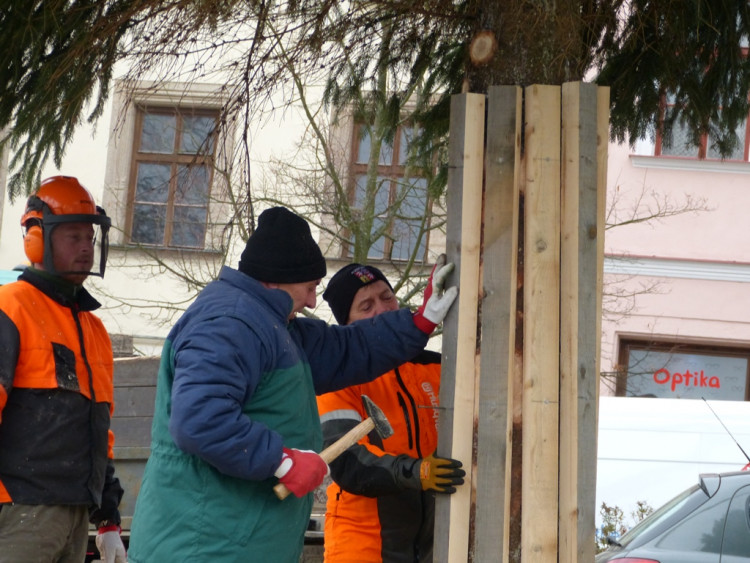 Vánoční stromeček v Jihlavě