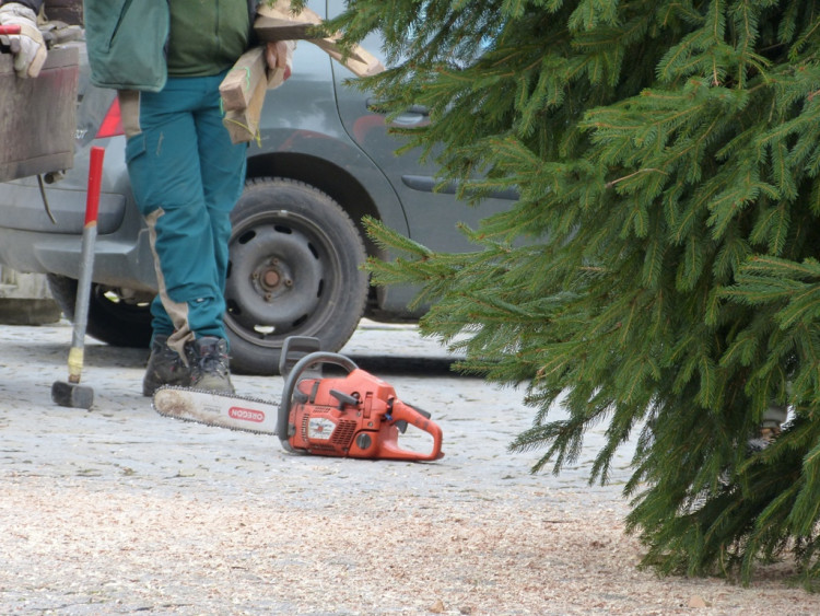 Vánoční stromeček v Jihlavě