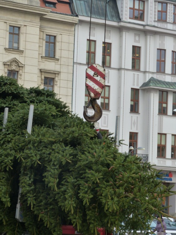 Vánoční stromeček v Jihlavě