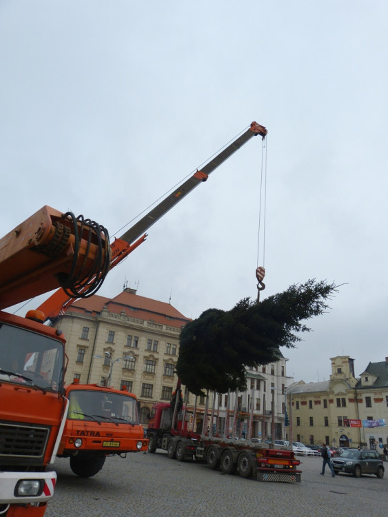 Vánoční stromeček v Jihlavě