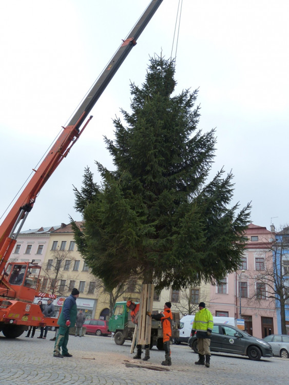 Vánoční stromeček v Jihlavě