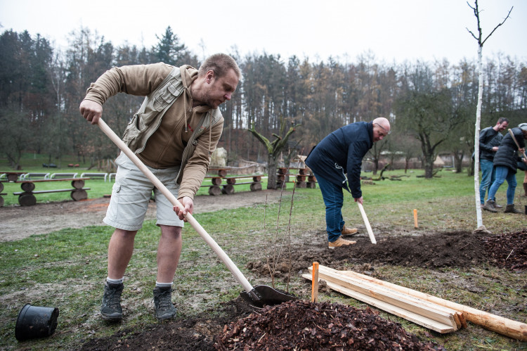 Výsadba stromů v jihlavské zoo