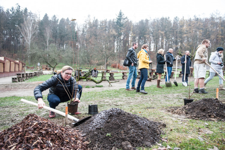 Výsadba stromů v jihlavské zoo