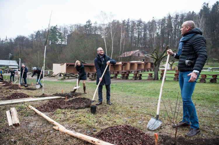 Výsadba stromů v jihlavské zoo