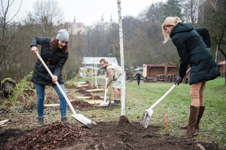 Výsadba stromů v jihlavské zoo