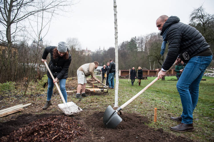 Výsadba stromů v jihlavské zoo