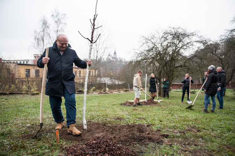 Výsadba stromů v jihlavské zoo