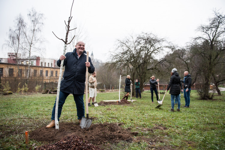 Výsadba stromů v jihlavské zoo