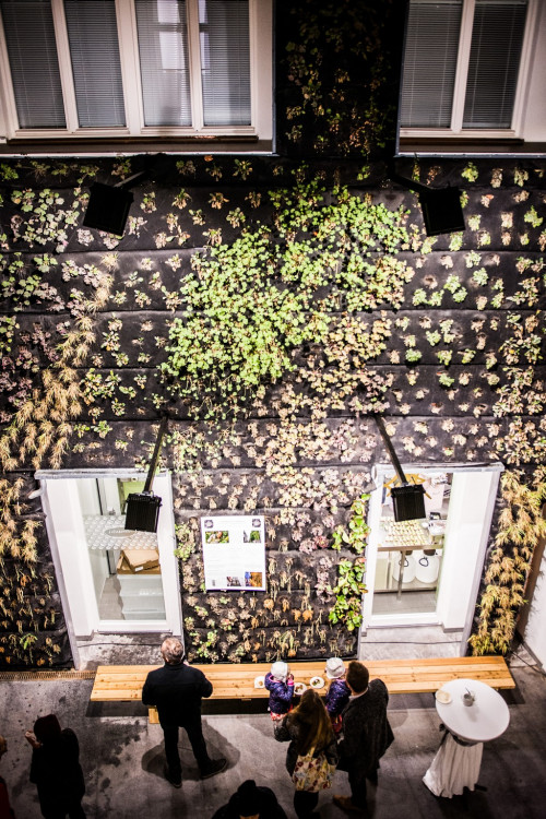 Anybody, Elsner, Slast. Nově otevřený palác na Zelňáku je chrámem rozmanitosti, autor Tomáš Hrivňák