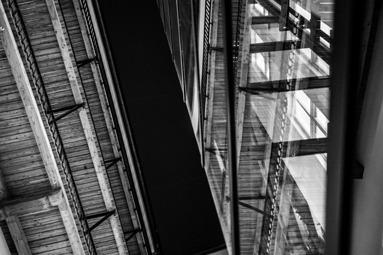 Anybody, Elsner, Slast. Nově otevřený palác na Zelňáku je chrámem rozmanitosti, autor Tomáš Hrivňák