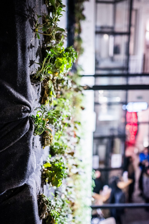 Anybody, Elsner, Slast. Nově otevřený palác na Zelňáku je chrámem rozmanitosti, autor Tomáš Hrivňák