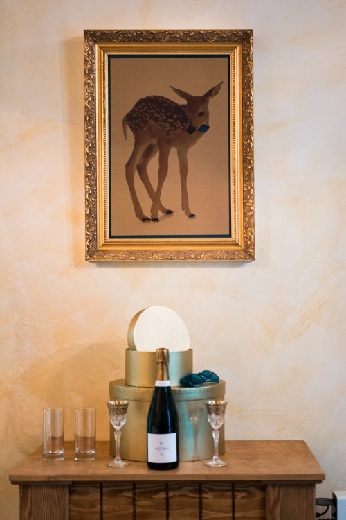 Anybody, Elsner, Slast. Nově otevřený palác na Zelňáku je chrámem rozmanitosti, autor Tomáš Hrivňák