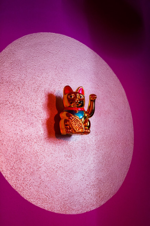 Anybody, Elsner, Slast. Nově otevřený palác na Zelňáku je chrámem rozmanitosti, autor Tomáš Hrivňák