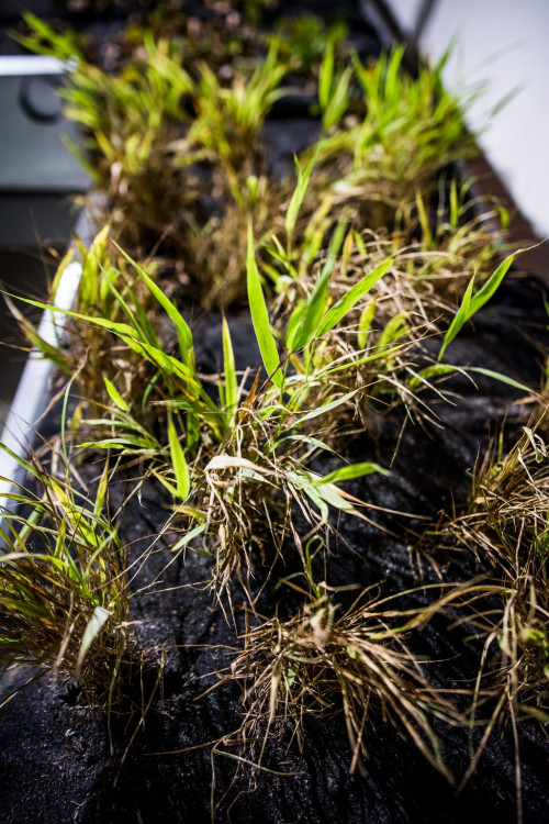 Anybody, Elsner, Slast. Nově otevřený palác na Zelňáku je chrámem rozmanitosti, autor Tomáš Hrivňák