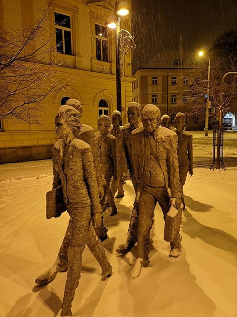 Zasněžené Budějce od Tomáše