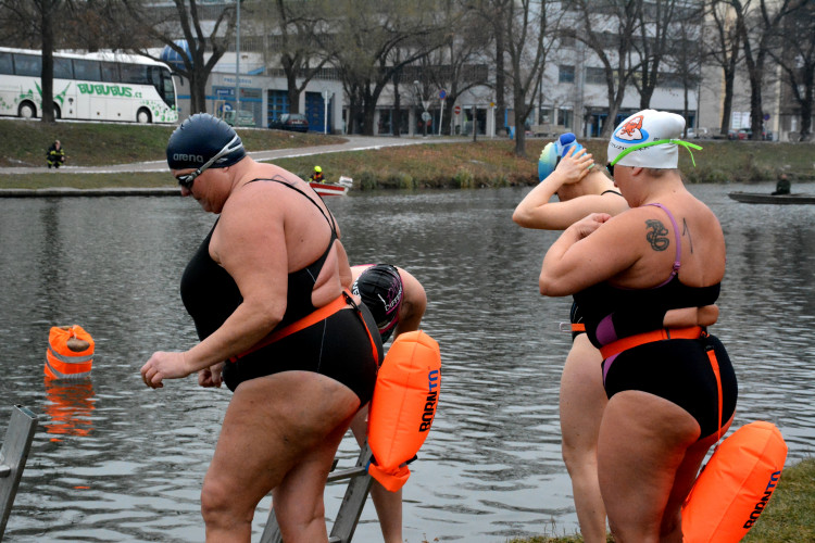 Labe patřilo o víkendu otužilcům. Plaveckých závodů se zúčastnili i zahraniční sportovci