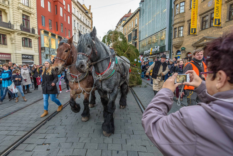 Brněnské Vánoce Vánocemi nekončí. Nabízí virtuální realitu, designové a gurmánské hody a kupu muziky