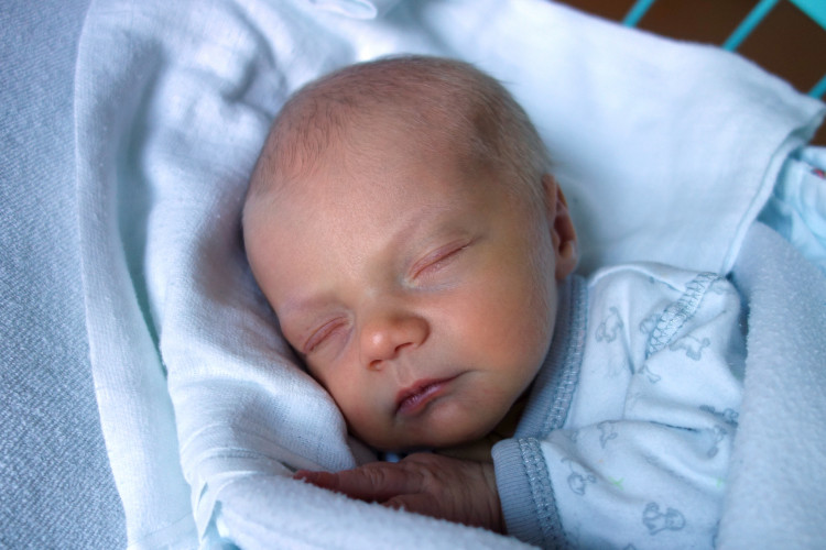 Eliška Černochová