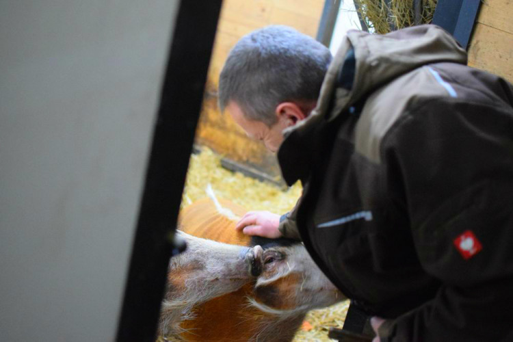 Den s ošetřovatelem: Zoo má dvě tváře. Zvířata se chovají jinak, když i my jdeme domů