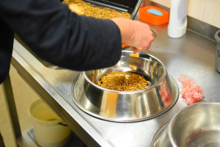 Den s ošetřovatelem: Zoo má dvě tváře. Zvířata se chovají jinak, když i my jdeme domů