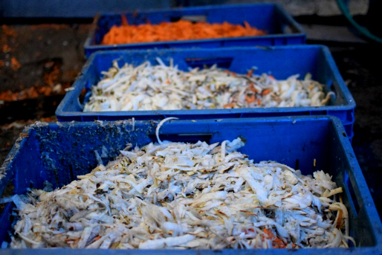 Den s ošetřovatelem: Zoo má dvě tváře. Zvířata se chovají jinak, když i my jdeme domů