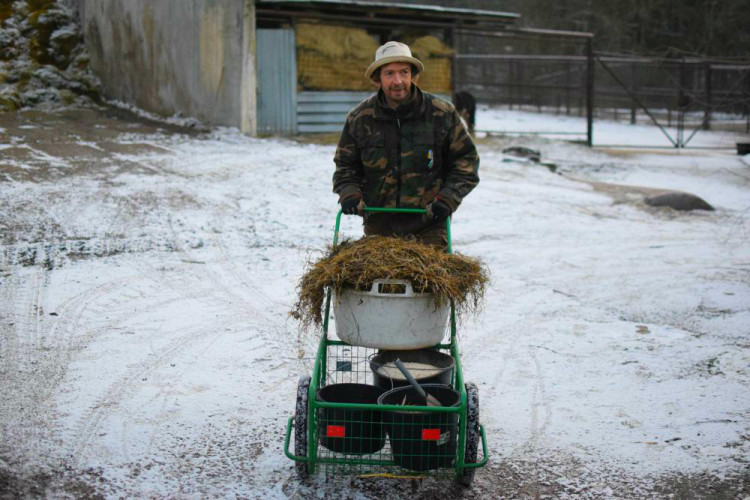 Den s ošetřovatelem: Zoo má dvě tváře. Zvířata se chovají jinak, když i my jdeme domů