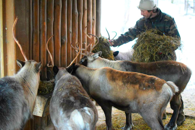 Den s ošetřovatelem: Zoo má dvě tváře. Zvířata se chovají jinak, když i my jdeme domů