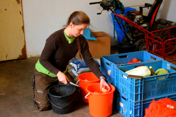 Den s ošetřovatelem: Zoo má dvě tváře. Zvířata se chovají jinak, když i my jdeme domů