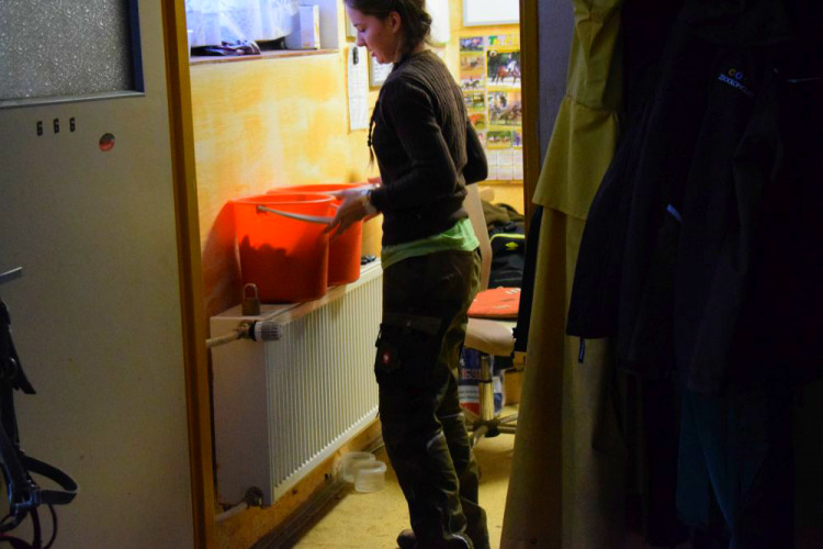 Den s ošetřovatelem: Zoo má dvě tváře. Zvířata se chovají jinak, když i my jdeme domů